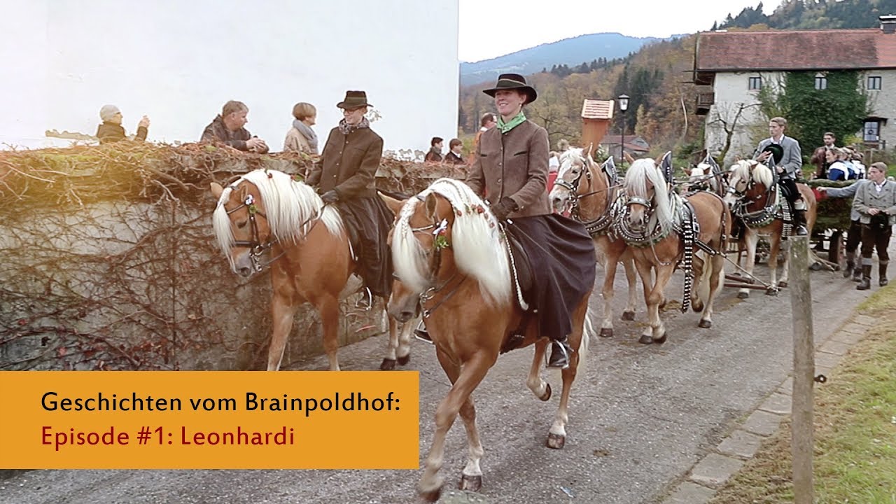 Geschichten vom Brainpoldhof #1: Leonhardi