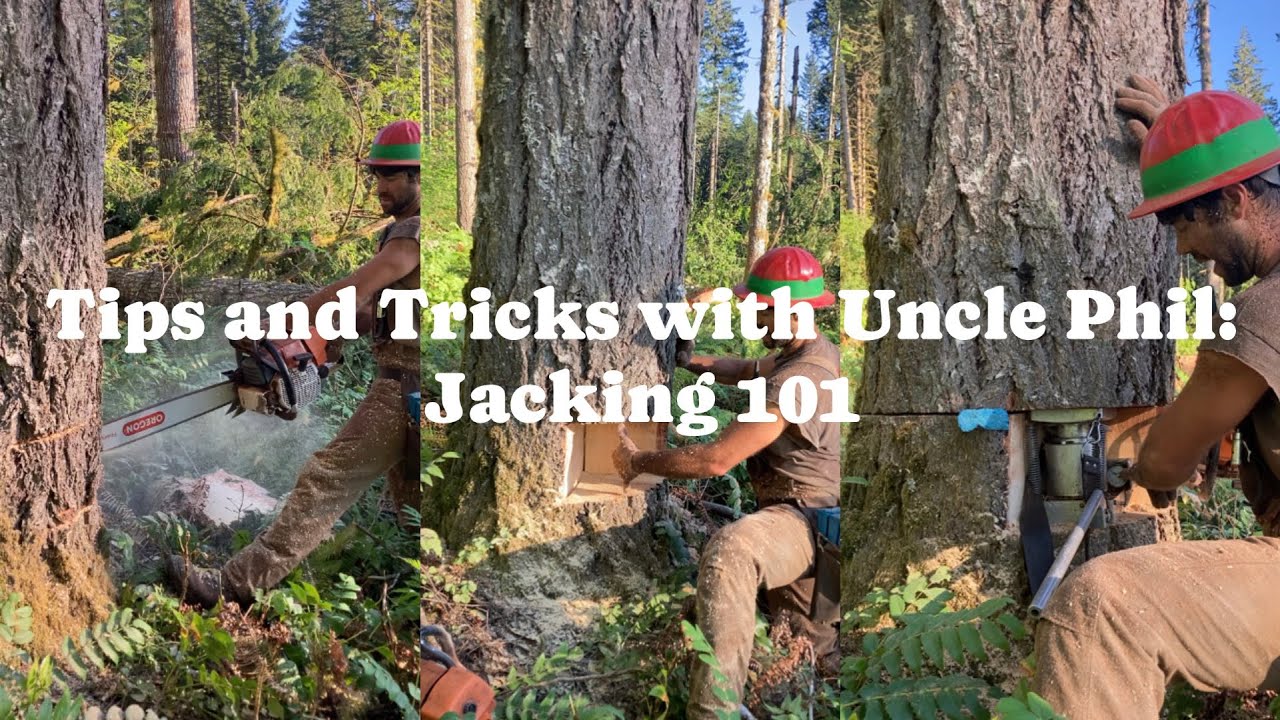 How to Use a Tree Jack