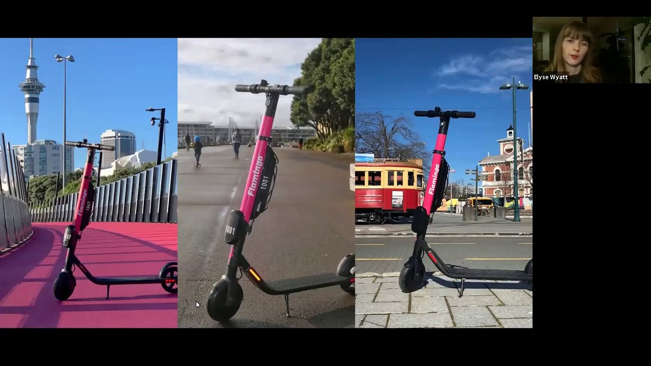 How to start an e-scooter company: The Flamingo Scooter Story