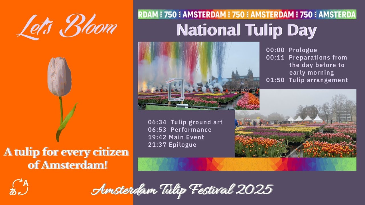 I Attended The National Tulip Day Celebration In Amsterdam - Amsterdam Tulip Festival 2025