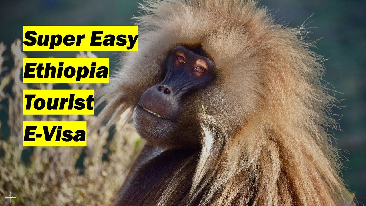 How to apply for the Ethiopia Tourist E-Visa Application 🇪🇹