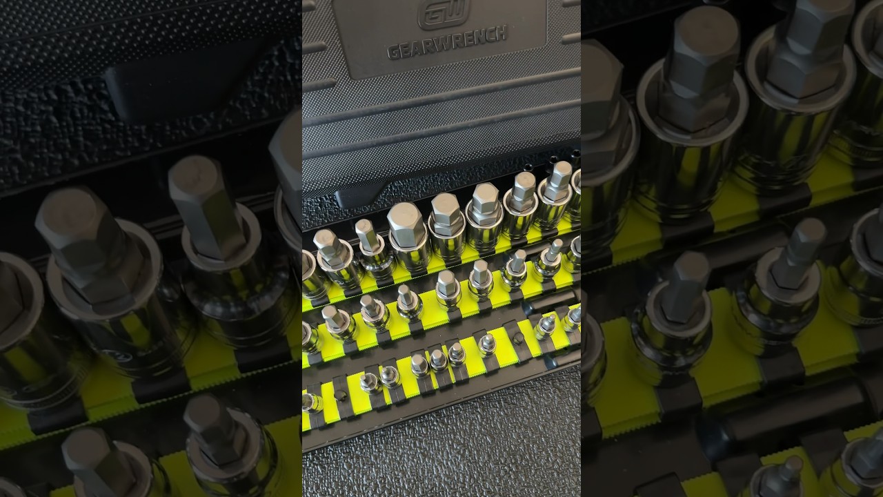 Master Hex and Torx socket set #shorts