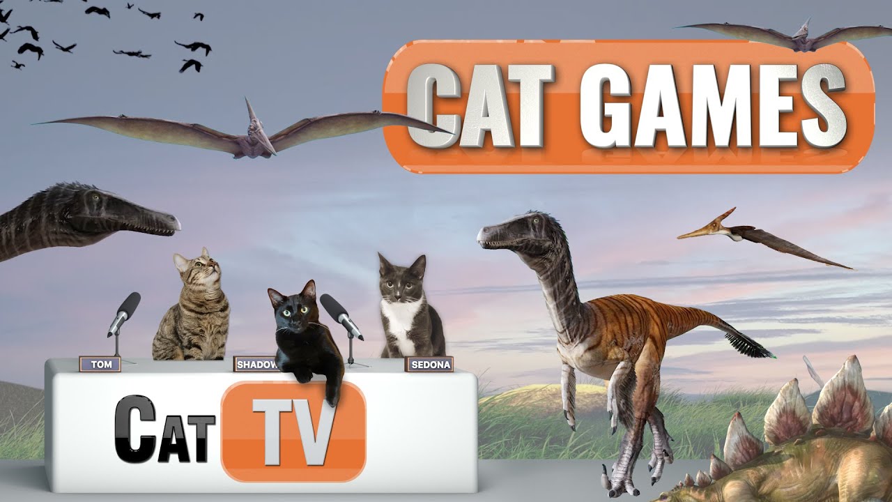 КОТ-игры | Purrasic World &ndash; дино-тастическое развлечение для кошек! 🦕😺