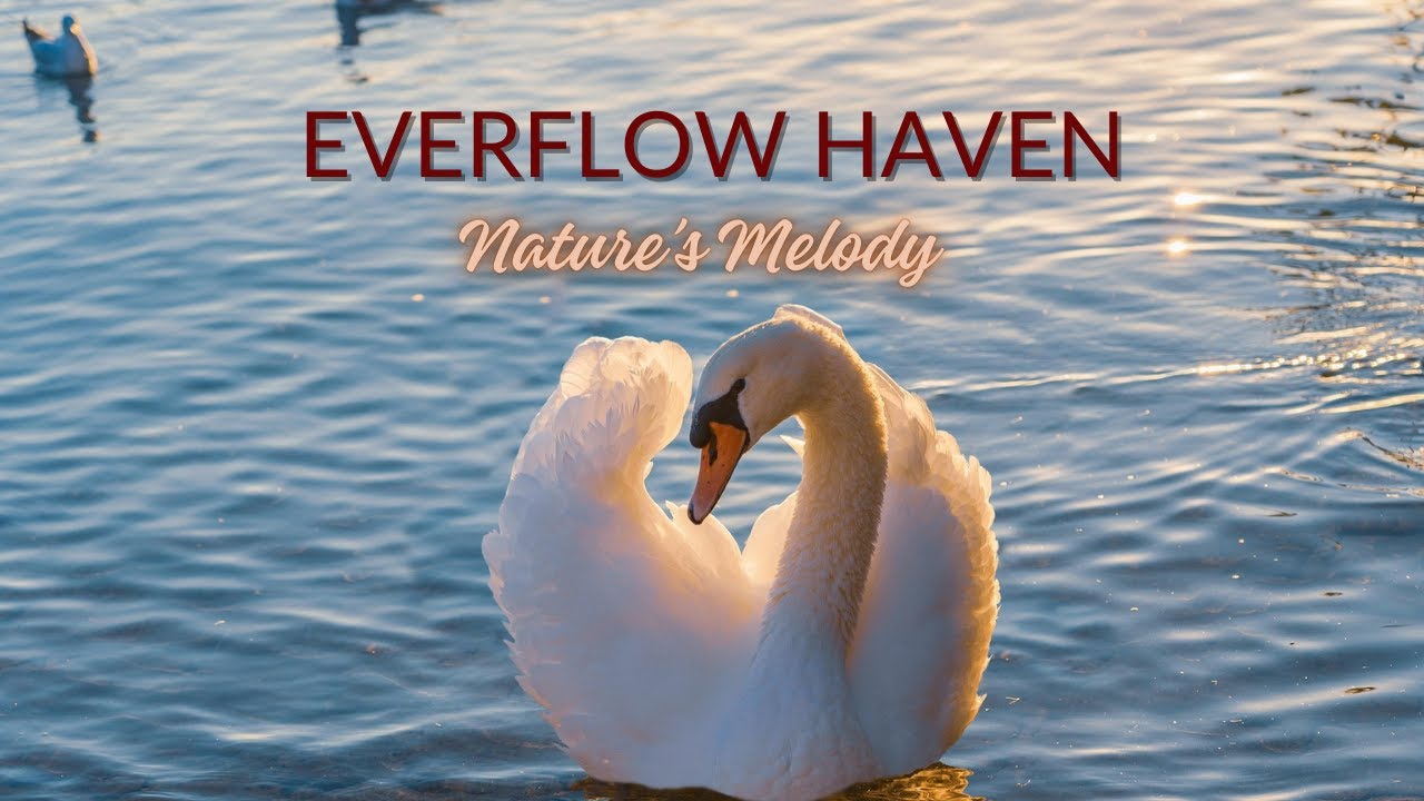 Everflow Haven - Relaxing Music