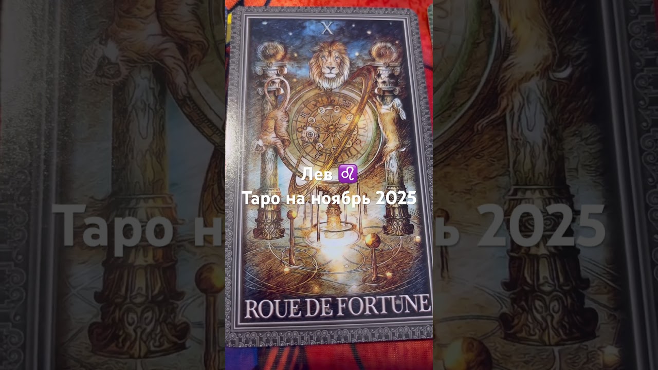 Leo ♌️ Tarot for November 2025. #leotarotforecast #tarotmaster #taroonline #tarot #tarotmaster #t...