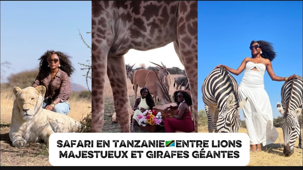 DAILLY VLOG : SAFARI À ARUSHA RENCONTRE INCROYABLE AVEC LES LIONS, GIRAFES ET ZÈBRES. 🦁🦒🦓