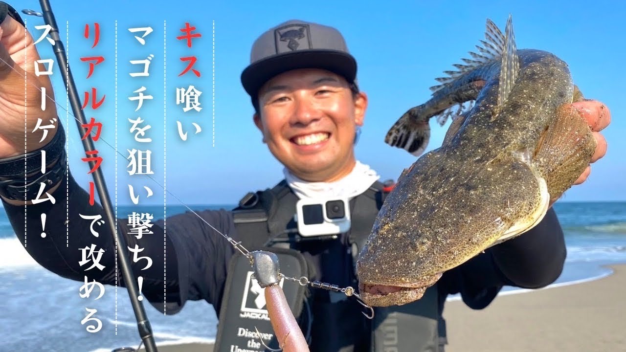 【夕まずめ】シロギスを喰ってるマゴチ！ベイトが入った時はこのカラーが効く。