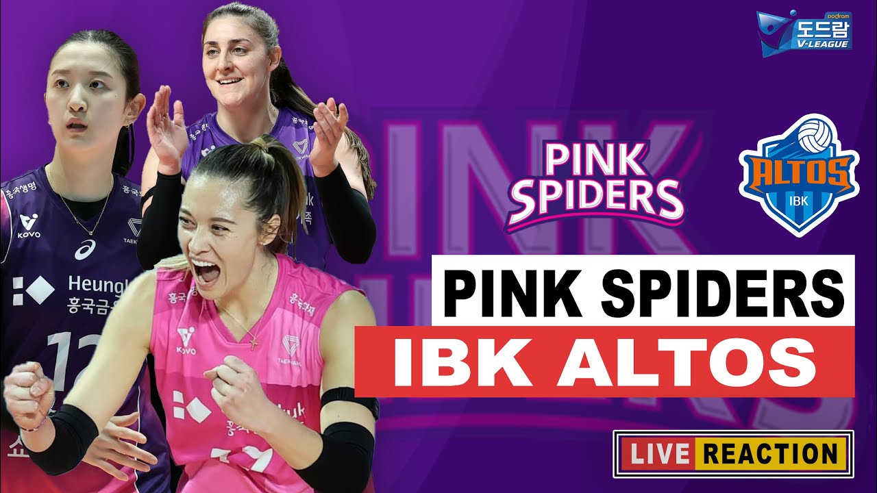 🔴LIVE VOLI KOREA PINK SPIDERS VS IBK ALTOS - ROUND 3