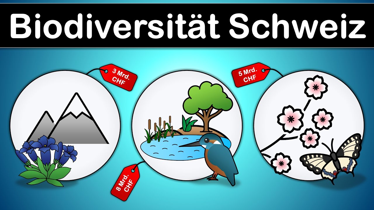 Biodiversität in der Schweiz - Warum jede Art wichtig ist!