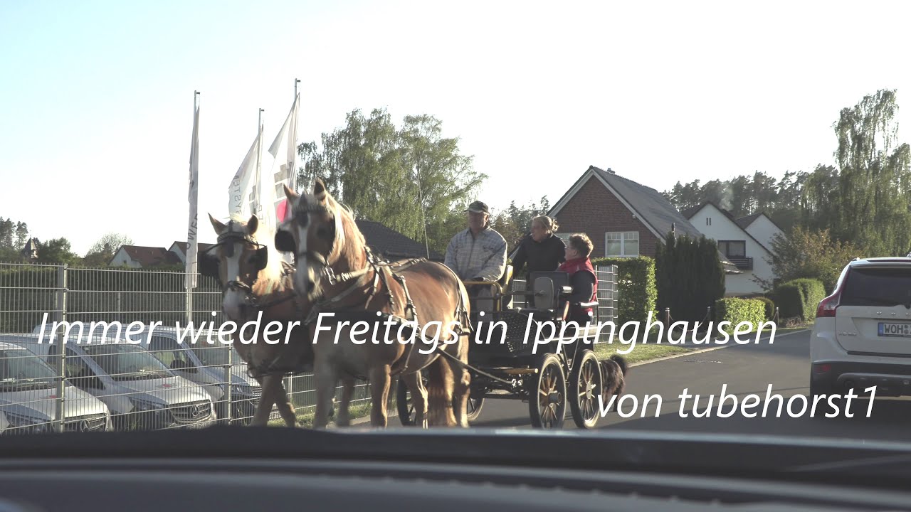 Immer wieder Freitags, in Ippinghausen, von tubehorst1