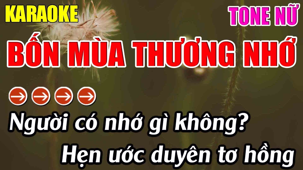 Bốn Mùa Thương Nhớ Karaoke Tone Nữ Karaoke Lâm Nhạc Sống 2026 - Beat Mới
