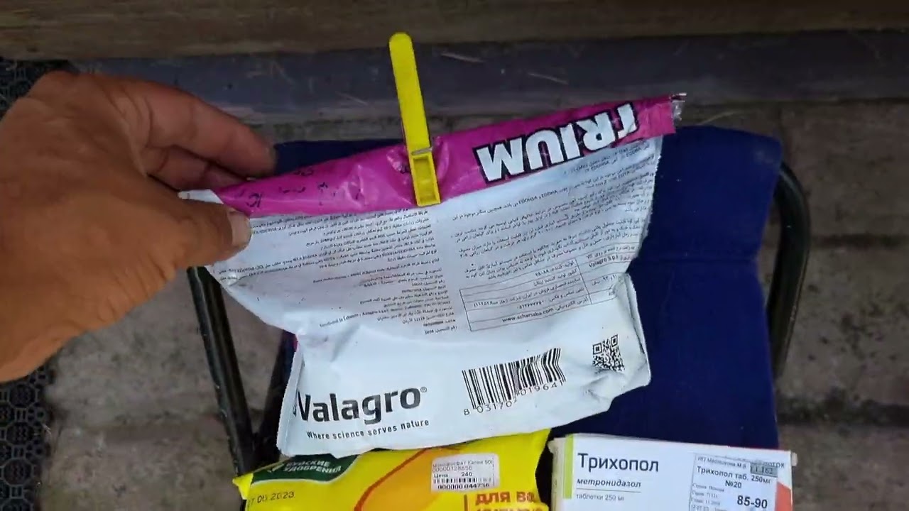 Чем обработать виноград от мильдию,оидиума,гнили в момент созревания ягоды.