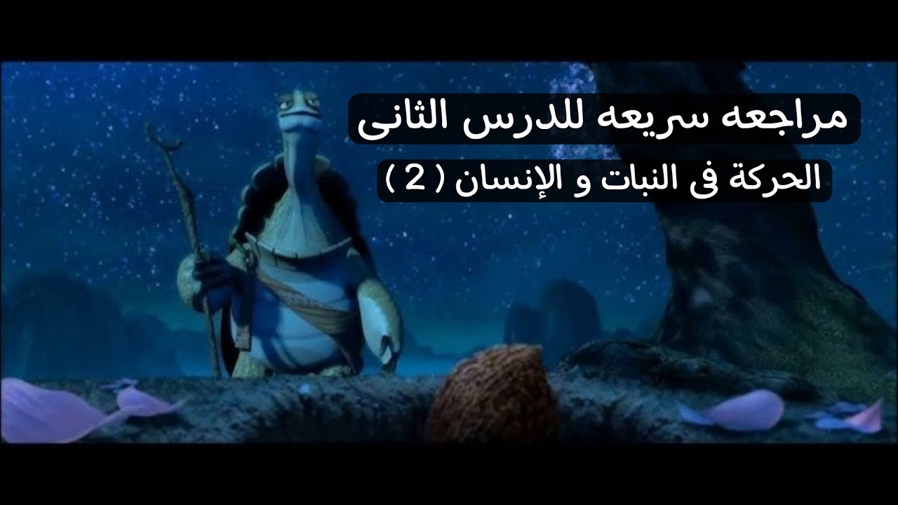 شرح ملخص للحركة كاملة
