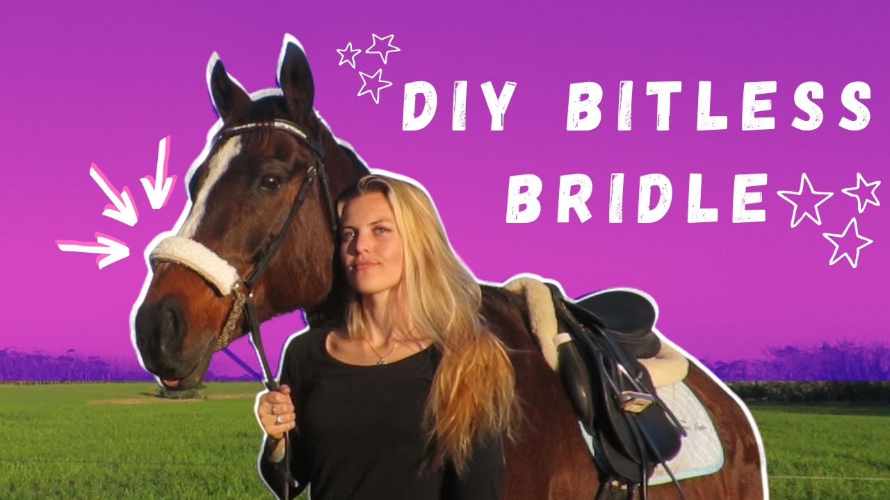 DIY Bitless Bridle Side Pull Attachment Tutorial