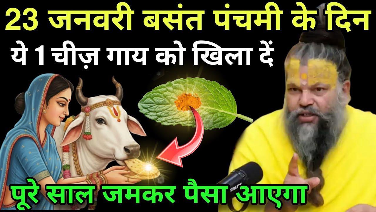 चाहे मर जाना😱बसंत पंचमी के दिन ये 1 गुप्त चीज़ गाय को खिला देना, पूरे साल जमकर पैसा आएगा#premanandji