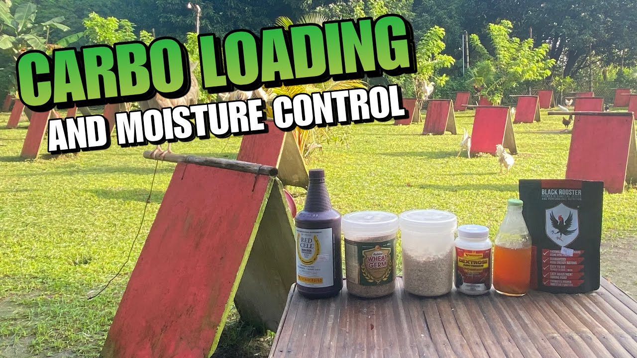 CARBO LOADING | MOISTURE CONTROL