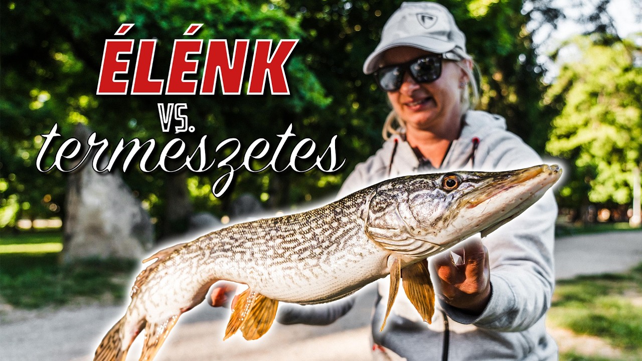 ÉLÉNK, vagy TERMÉSZETES színek? - Felsőtárkány csukái