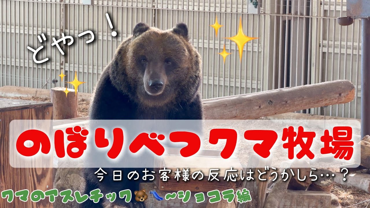 【2026/01①】クマのアスレチック🐻ショコラ編