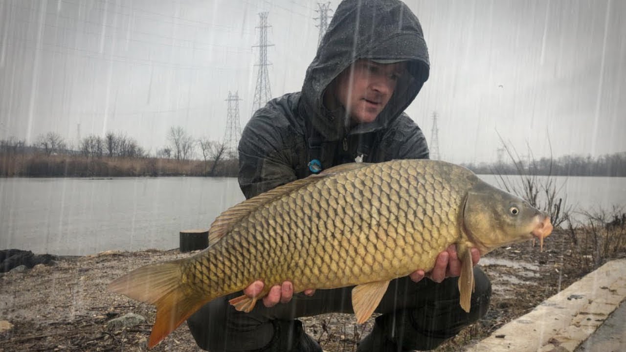 It's RAINING Carp! Fishing for Carp in Cold, Rainy Conditions