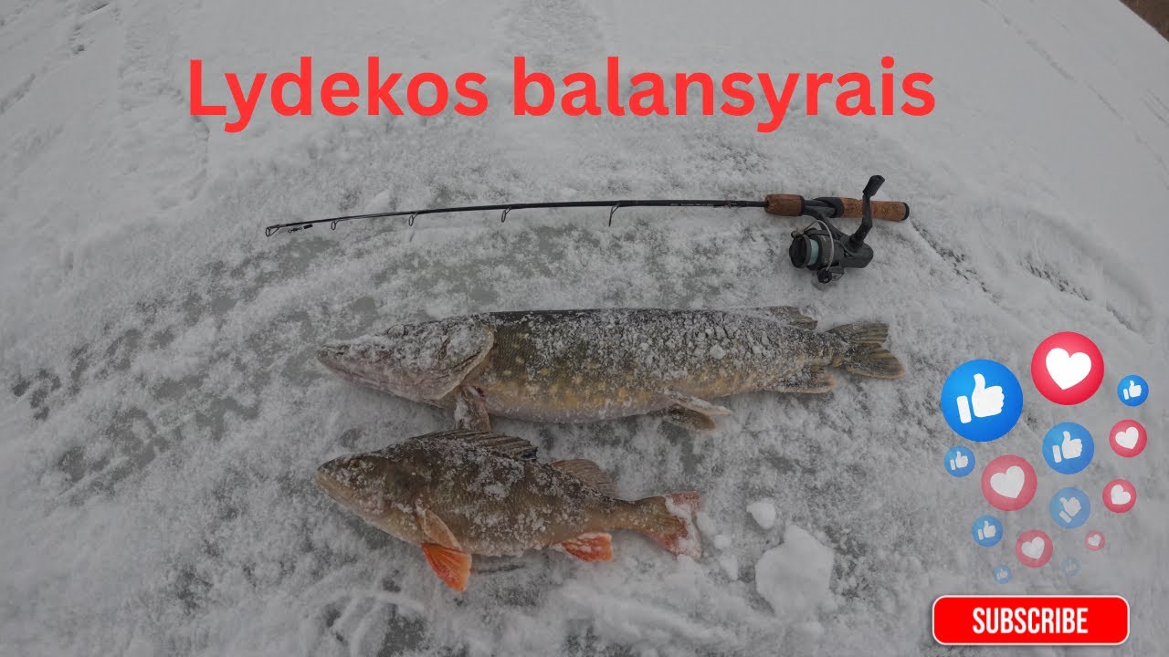 Dar viena žvejyba KEMSIŲ tvenkinyje dydeliais balansyrais 2026