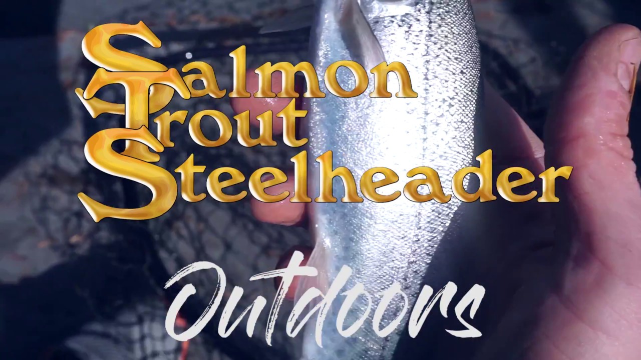 Как поймать больше окуня на оснастку Steelhead-Yarnies и Soft Bead