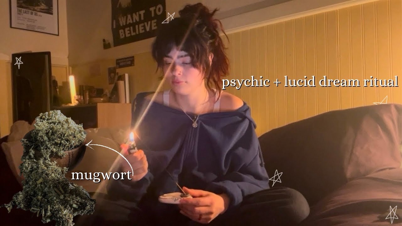 does mugwort cause psychic and lucid dreams?