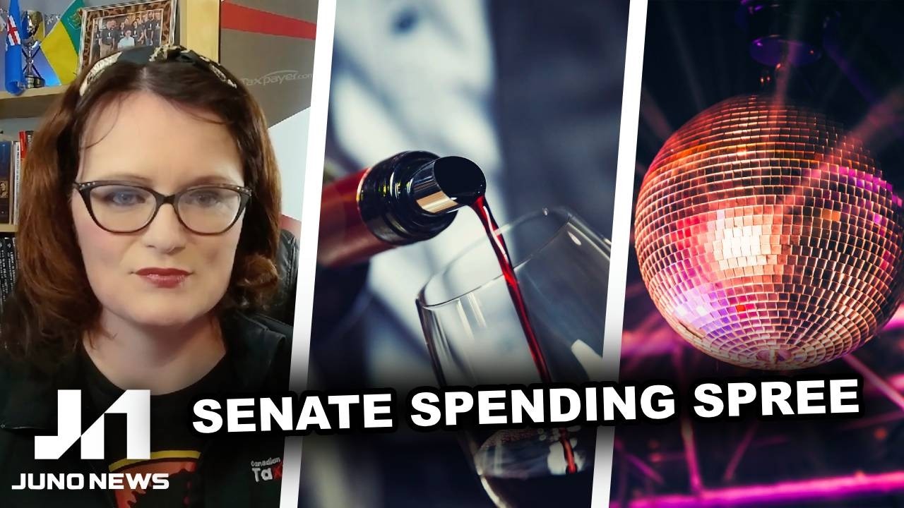 Senators blow THOUSANDS on BOOZE and disco parties