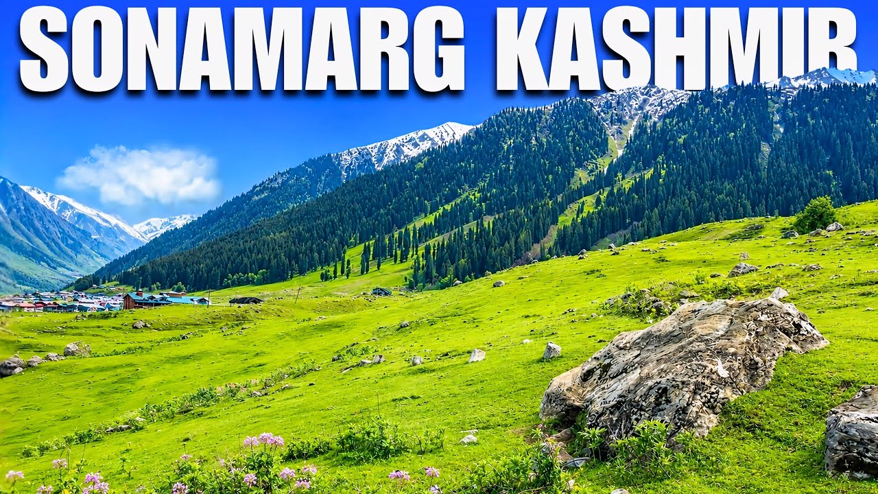 Kashmir is Safe for Tourists in 2026? Ground Reality Explained | My Honest Travel Experience