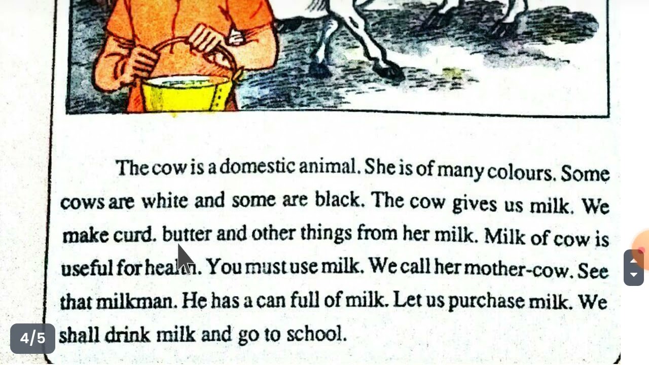 The cow/ 10 Daily use words with their hindi meaning and pronunciation