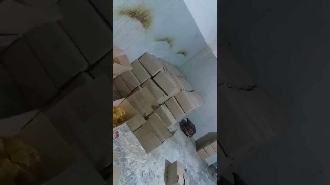Novot quyish beznesi.  barcha sirlarini urganasiz, obuna bulishni unutmang !!!