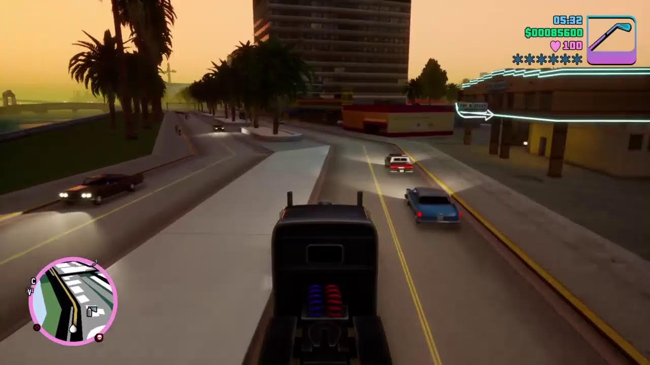 Grand theft auto vice city