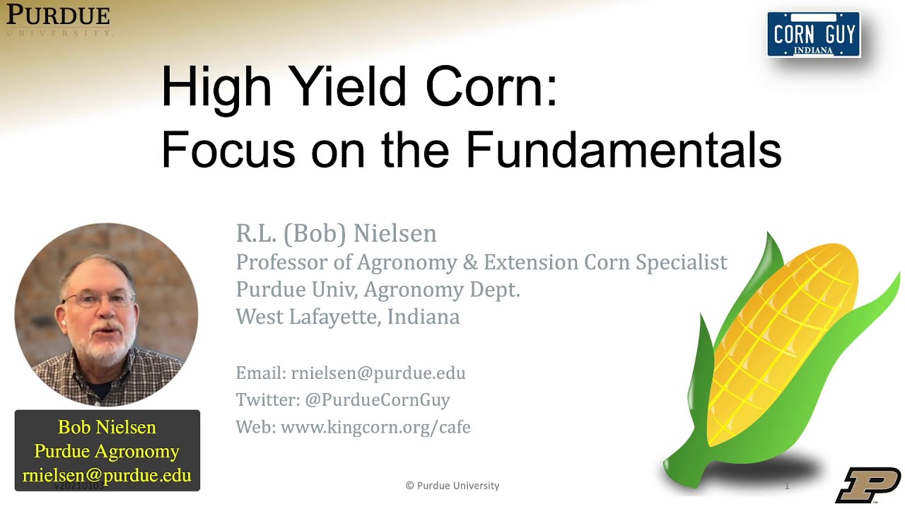High Yield Corn: Focus on the Fundamentals / Part I