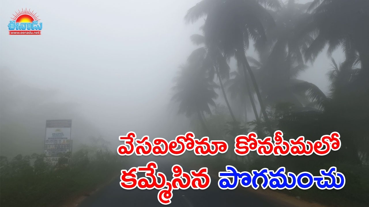 కోనసీమలో కమ్మేసిన పొగమంచు @eenadu-news