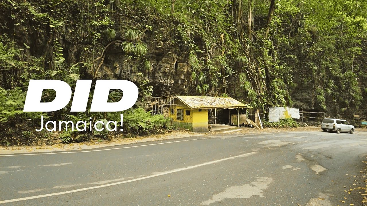 Walking Fren Gully Full Tour ( REAL RAW FOOTAGES )February 15, 2025