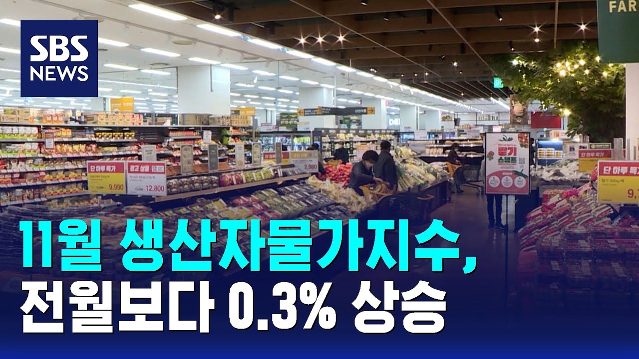 11월 생산자물가지수, 전월보다 0.3% 상승 / SBS / 경제365