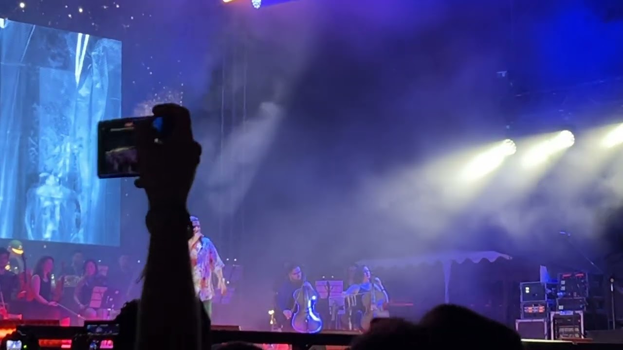 Deliric & Silent Strike & Muse Orchestra - Am visat ca schimbam Lumea at Flight Festival 2024