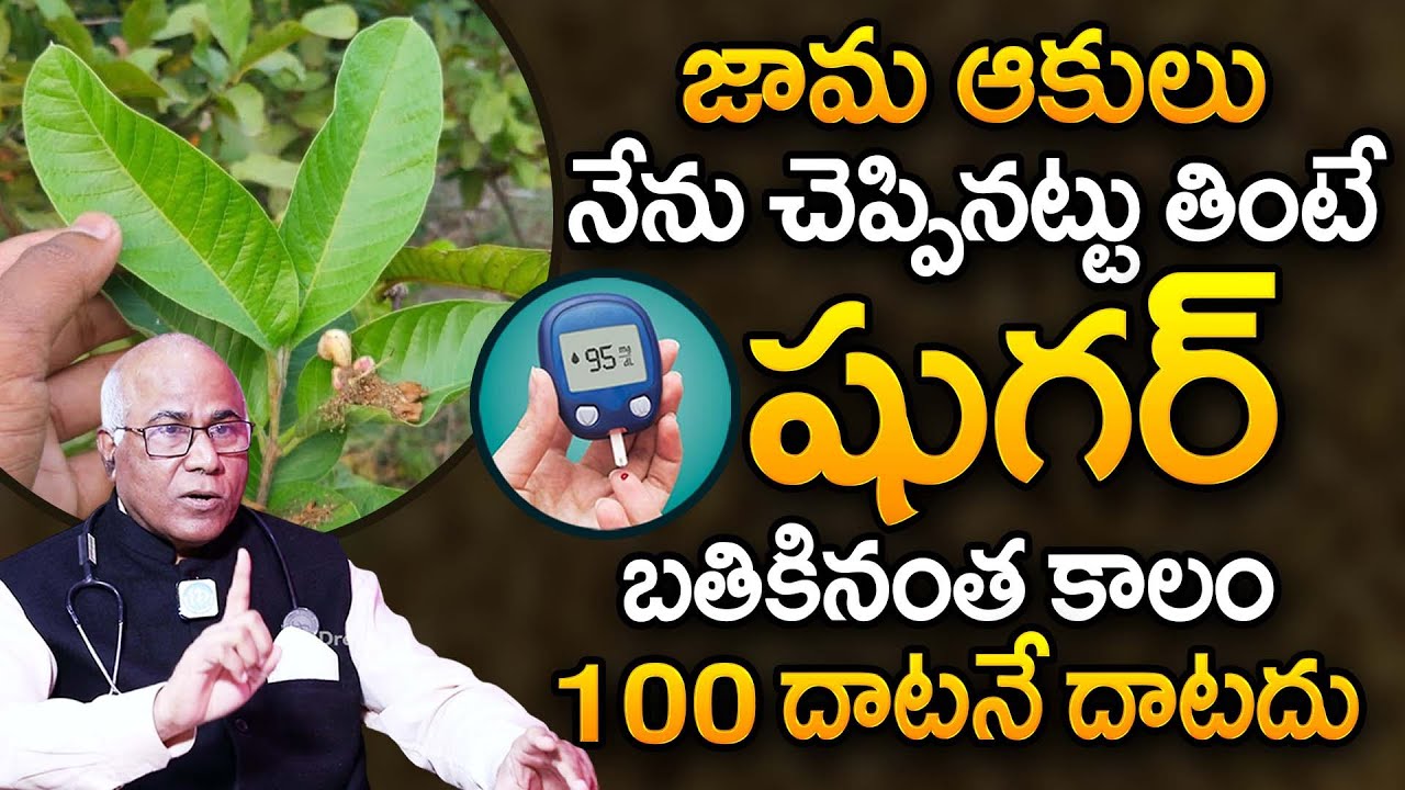 రోజు 2 ఆకులు చాలు షుగర్ 100 దాటనే దాటదు | Dr. CL Venkat Rao About Diabetes Control | iDream Health