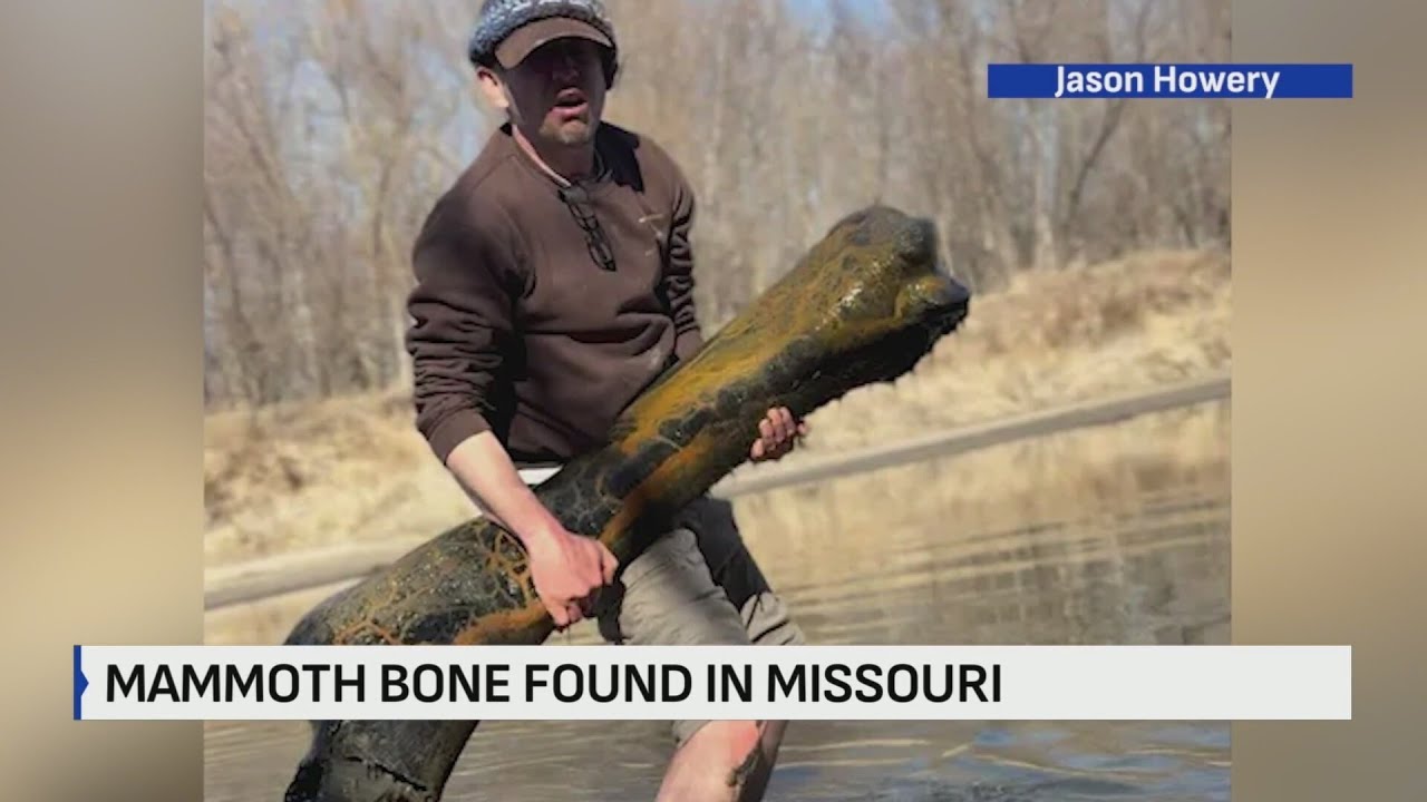Local paleontologist uncovers ice age mammoth bone in NW Missouri