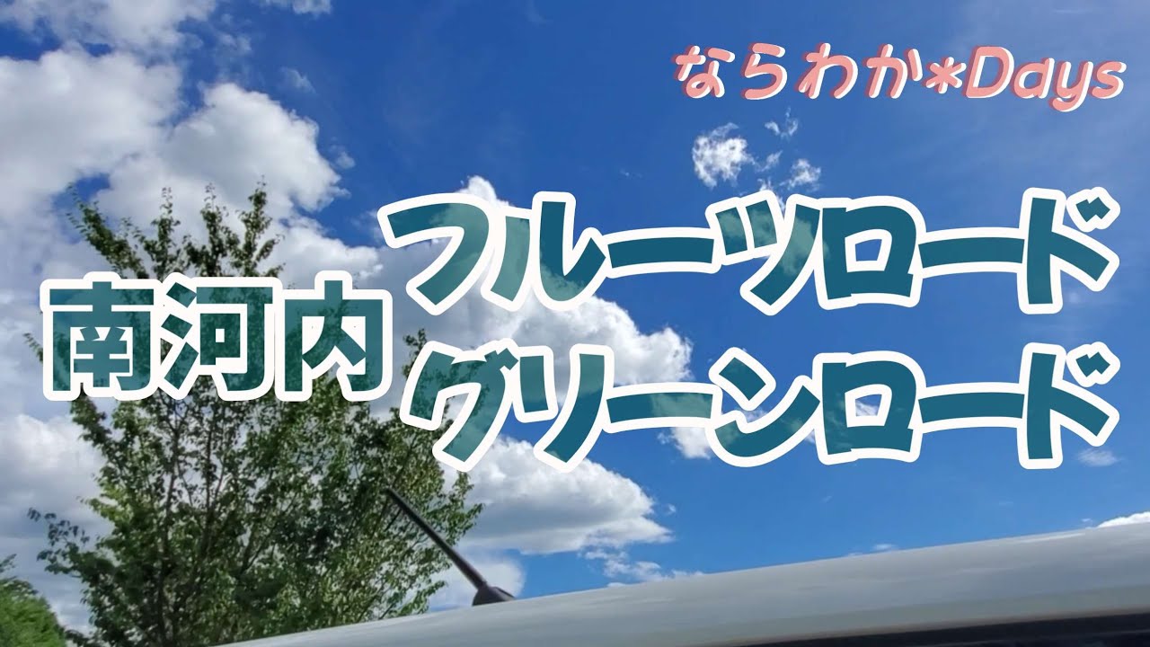【農道ドライブ*3】南河内フルーツロード&南河内グリーンロード/大阪府羽曳野市～河内長野市/ドライブ🚗行ってきました♢ならわか*Days♢