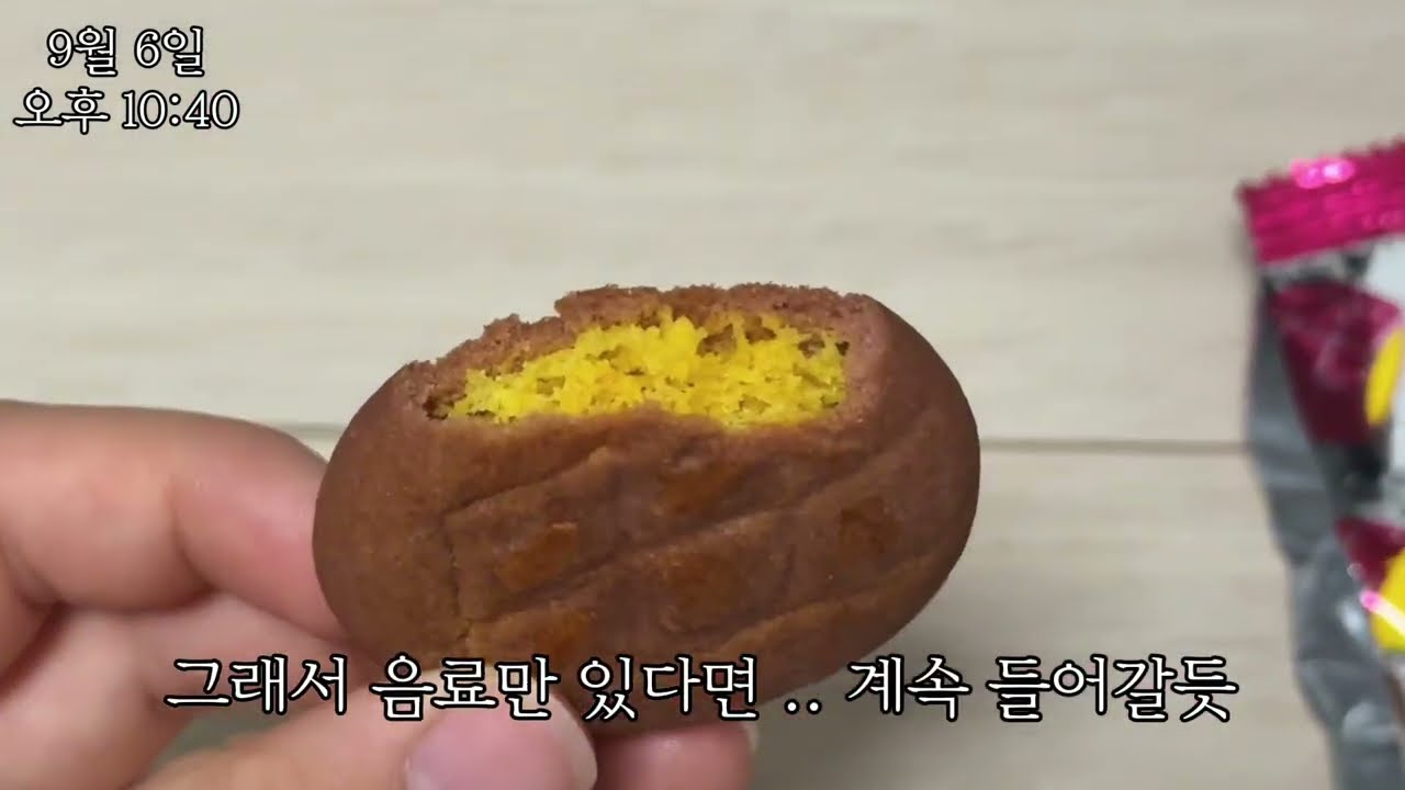 단짠단짠 급발진 폭식 브이로그