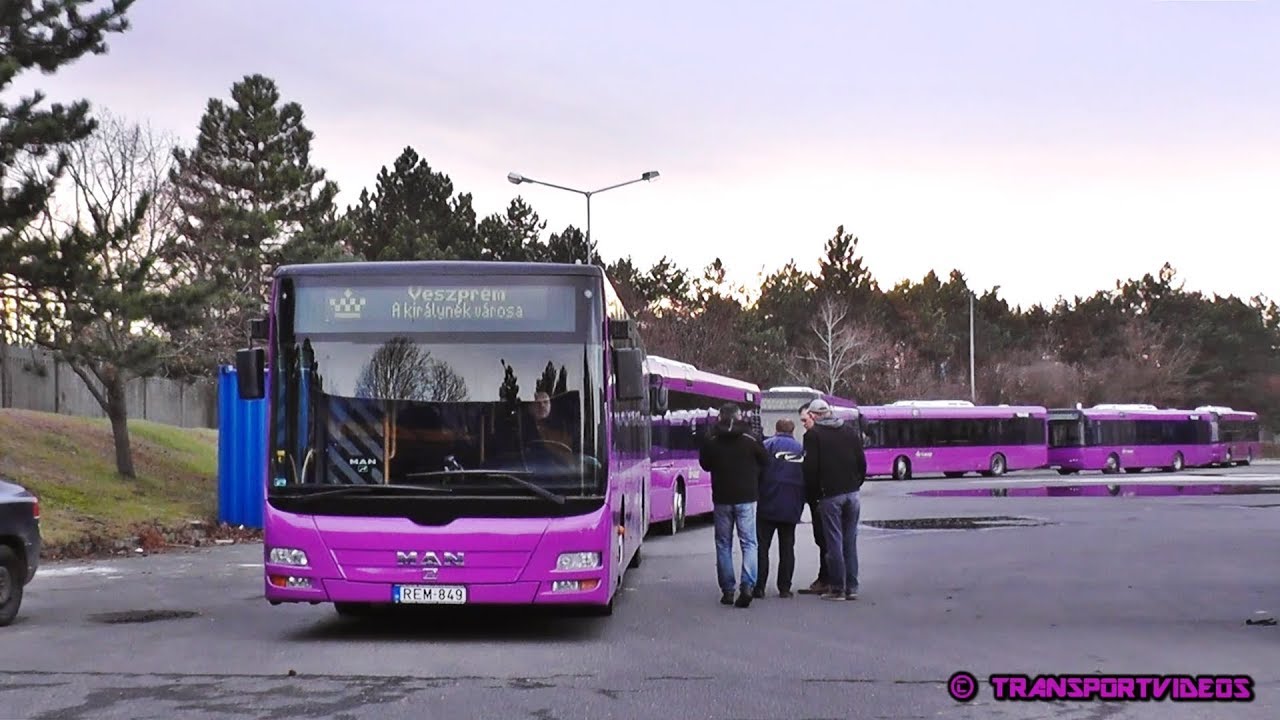 2018.12.27. - Megérkezett az első tíz lila autóbusz Veszprémbe!