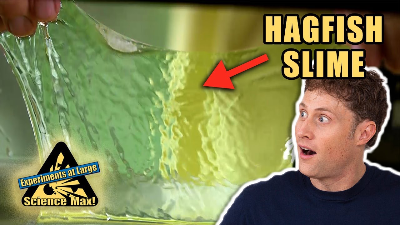 Hagfish Slime | Halloween | Science Experiments | Science Max