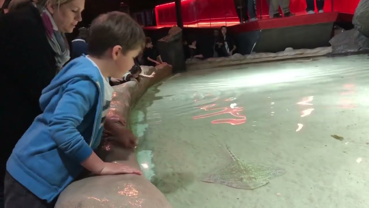 Matteo all’acquario di Genova