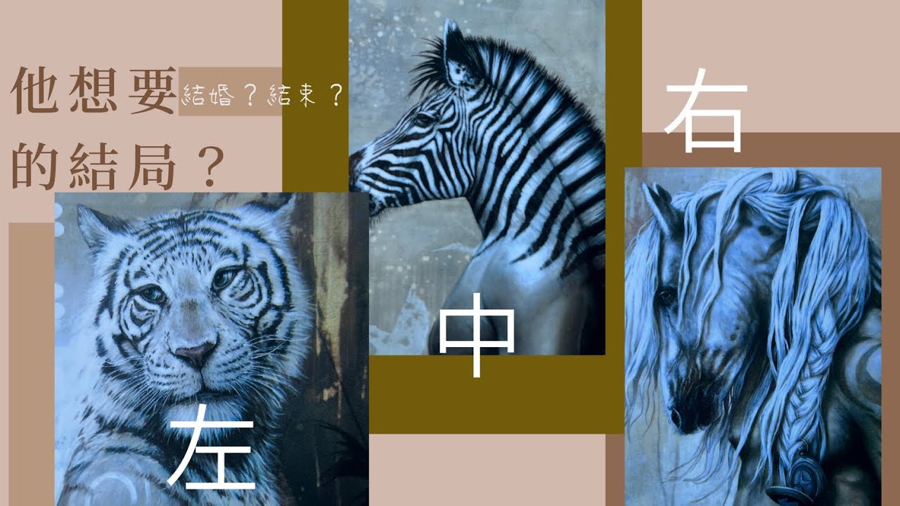 塔羅占卜🔮他有多喜歡你？對你的感情愛意有幾分？他想跟你成為什麼樣的關係