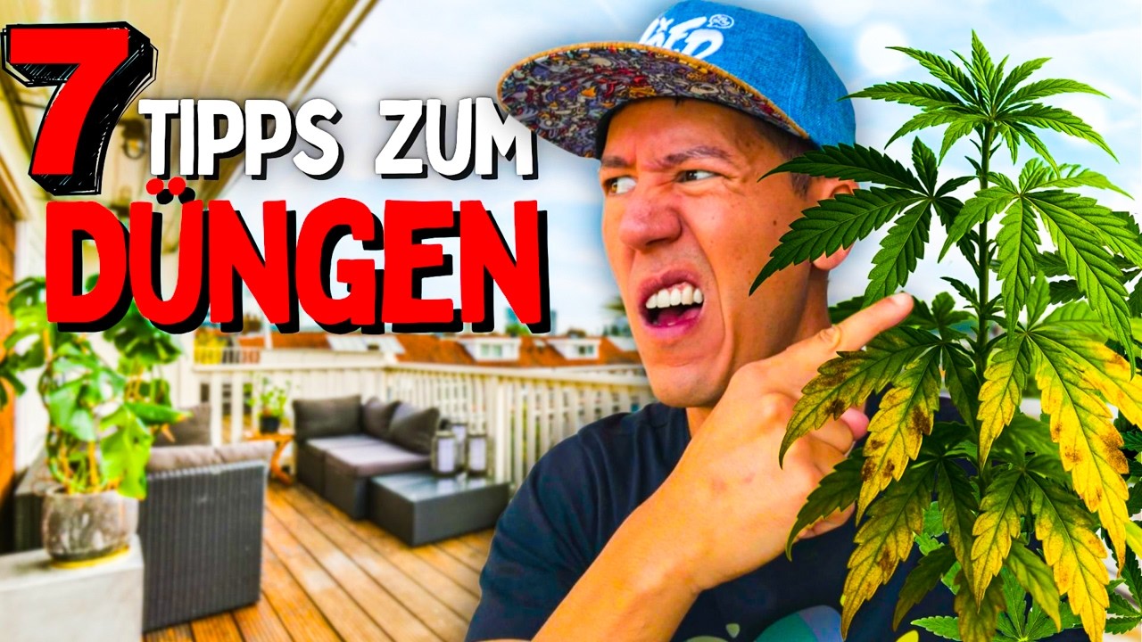 STOPP! 😵 Darum werden deine Pflanzen gelb! Nährstoffmangel Düngen und Co.