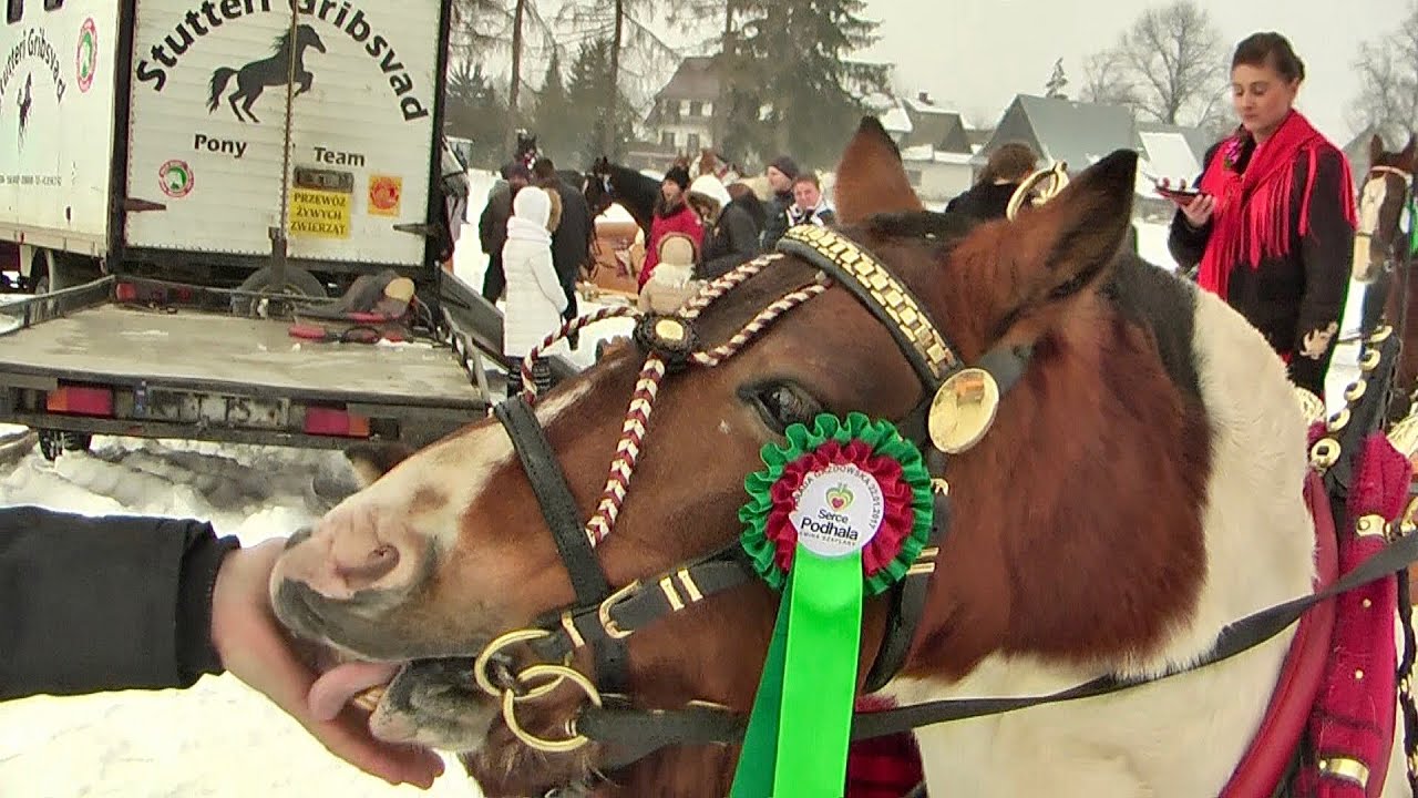 KUMOTERKI SZAFLARY
