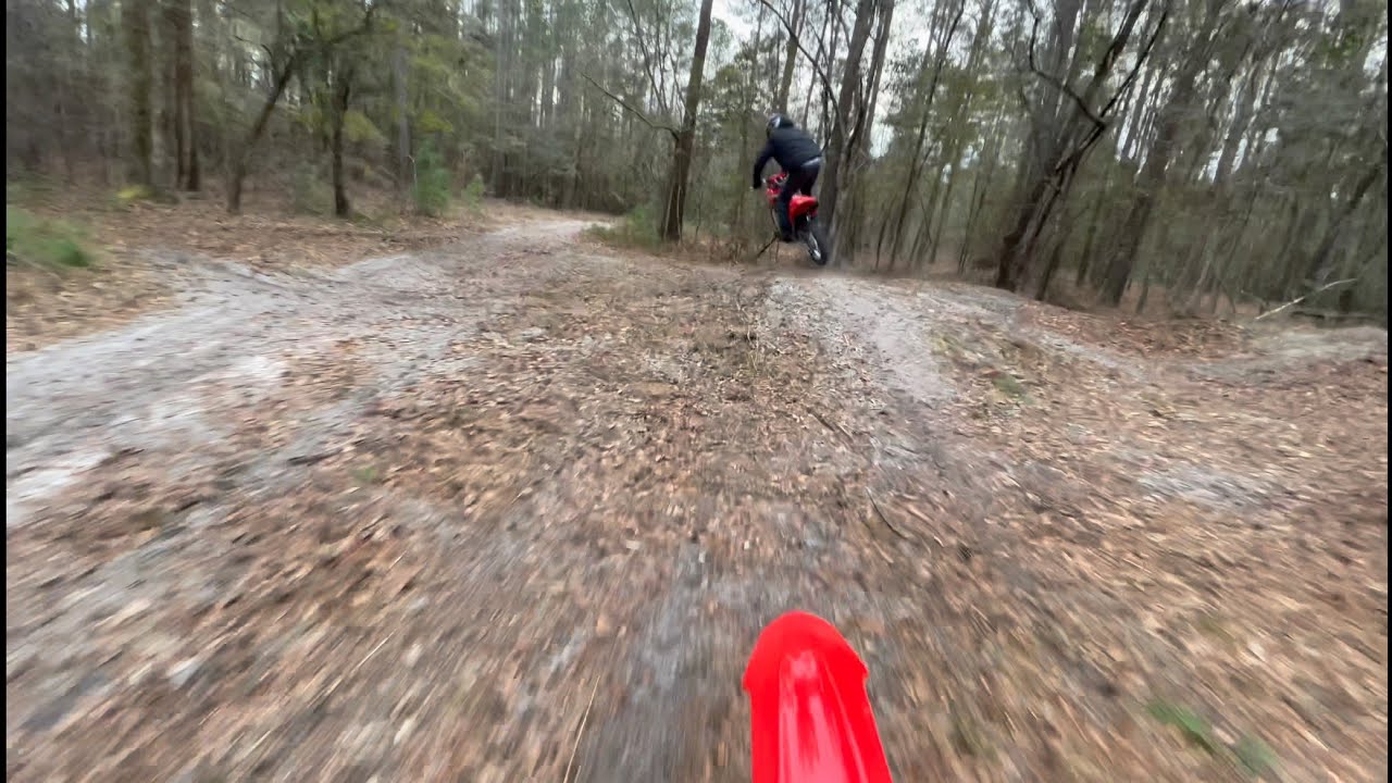 Brand New CRF250F Vs CRF125F | 100 Acres Of Dirt Bike Trails