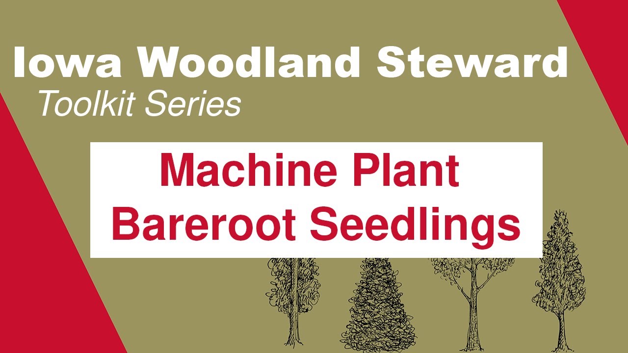 Machine Planting Bareroot Tree Seedlings: Iowa Woodland Steward Toolkit Series