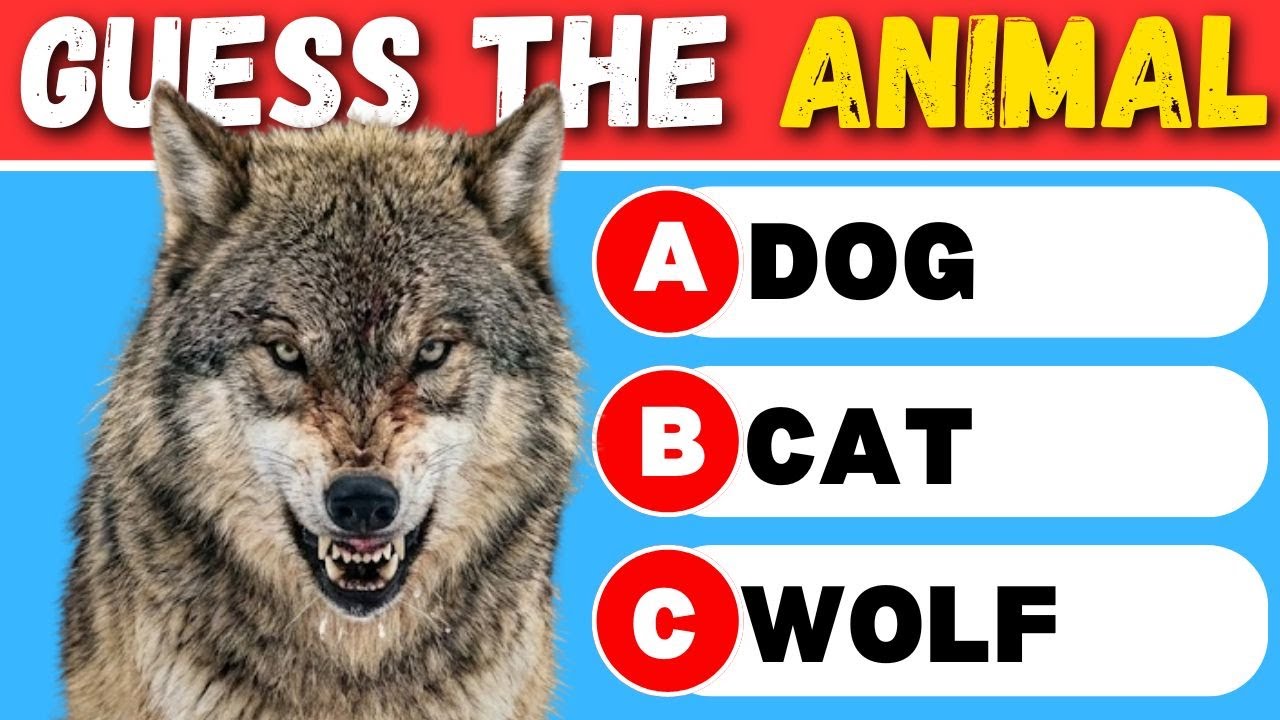 Can You Name These 50 Animals? 🧠 Wildlife Trivia Challenge | Quiz Hare