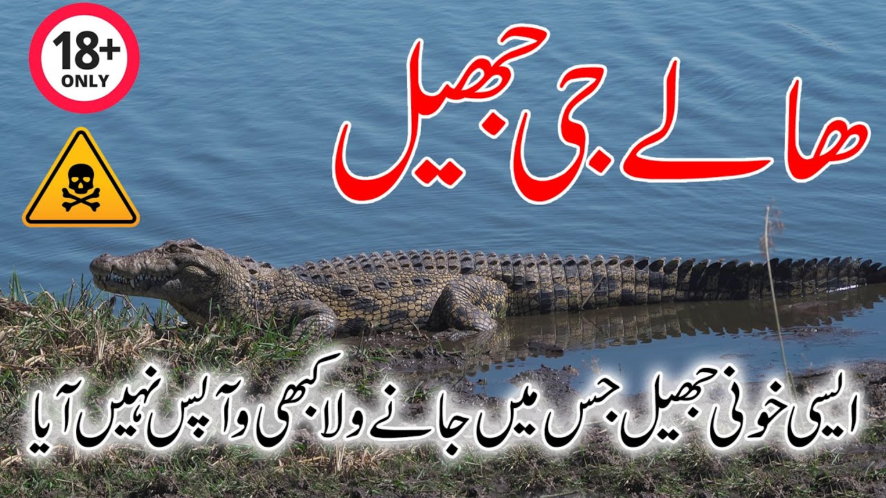 Haleji Jheel district thatta.one of the most beautiful jheel.must visit.
